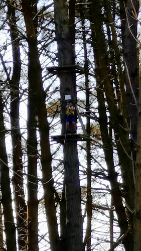 Adrenalin Forest Christchurch - Sports Complex