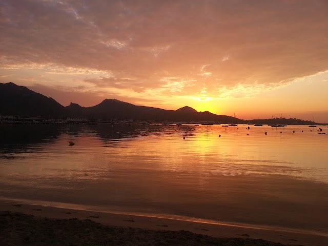 Puerto de Pollensa