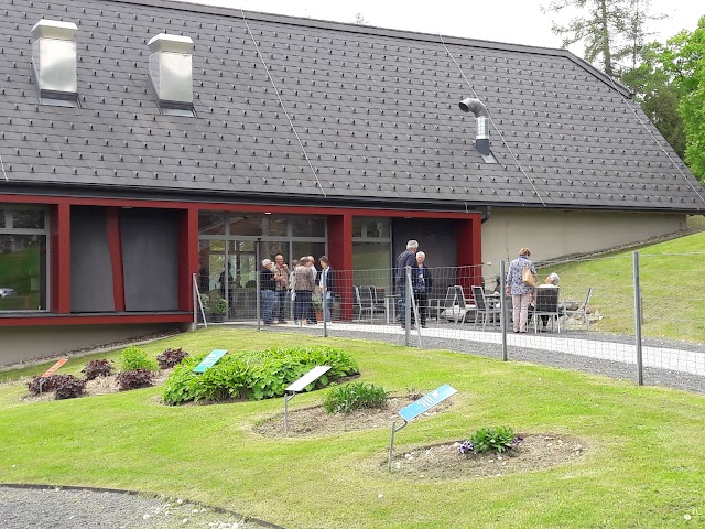 Kräftereich St. Jakob im Walde