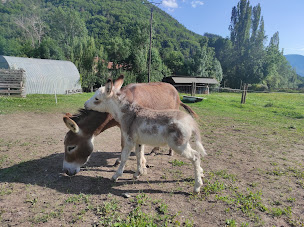 Photo n°3 de Gîtes 