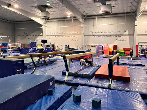 Metroplex Gymnastics - Visual