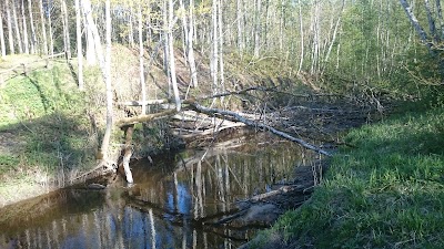 Photos of Padise linnam&auml;gi