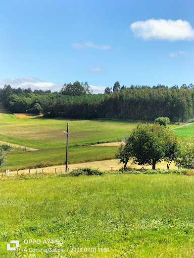 Castro da Roda - Visual