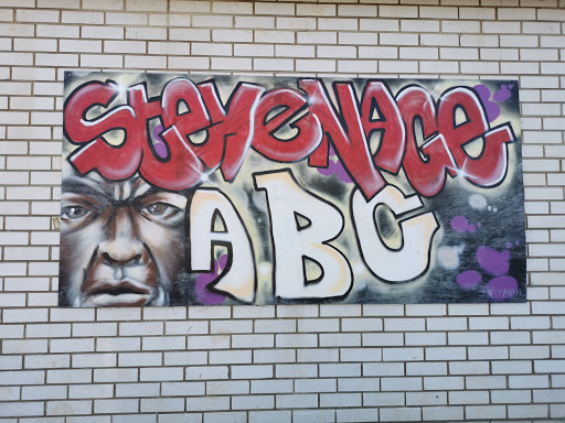Stevenage Amateur Boxing Club - Thumbnail