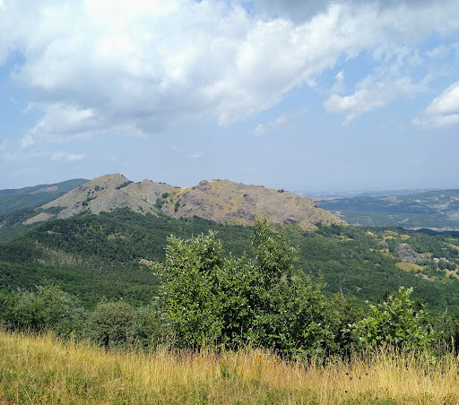 Monte Lama - Visual