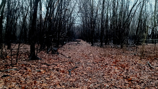 Grimms Park - Visual