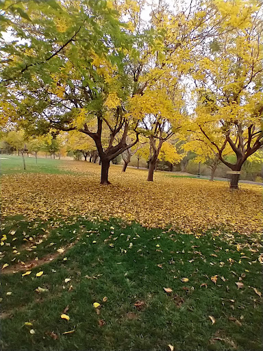 Mathis Park - Visual