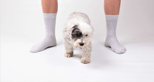 Sockscribe.co.uk - Visual