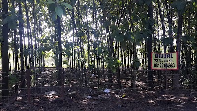 Photos of Taman Perumahan Madu Asri Blok C