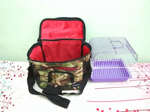 Adewap Glider Tangerang - Jual Sugar Glider Termurah, Author: Adewap Glider Tangerang - Jual Sugar Glider Termurah