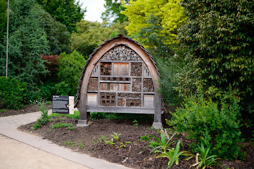JC Raulston Arboretum - Thumbnail