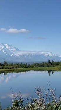 Kantishna Roadhouse by null