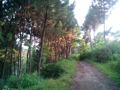 Photos of Wisata Kuda Bandung