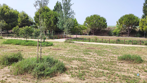 Parc caní Senda de les Vaques
