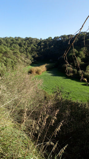 Camí Natural Camí de Cavalls - Pas del barranc de La Cova Gallery - Spain