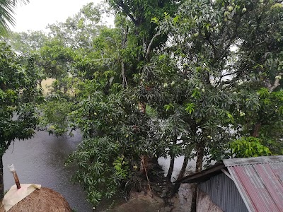 Photos of কেকৈয়া