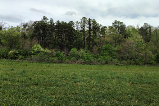 Gibson Bottoms