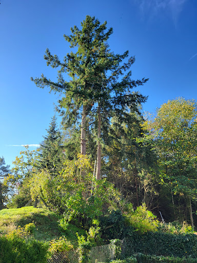 Billich Dienstleistungen in und rund um Schwerin