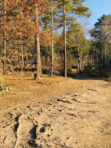Copsem Lane Car Park
