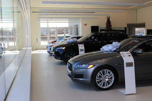 Jaguar Frisco - Thumbnail