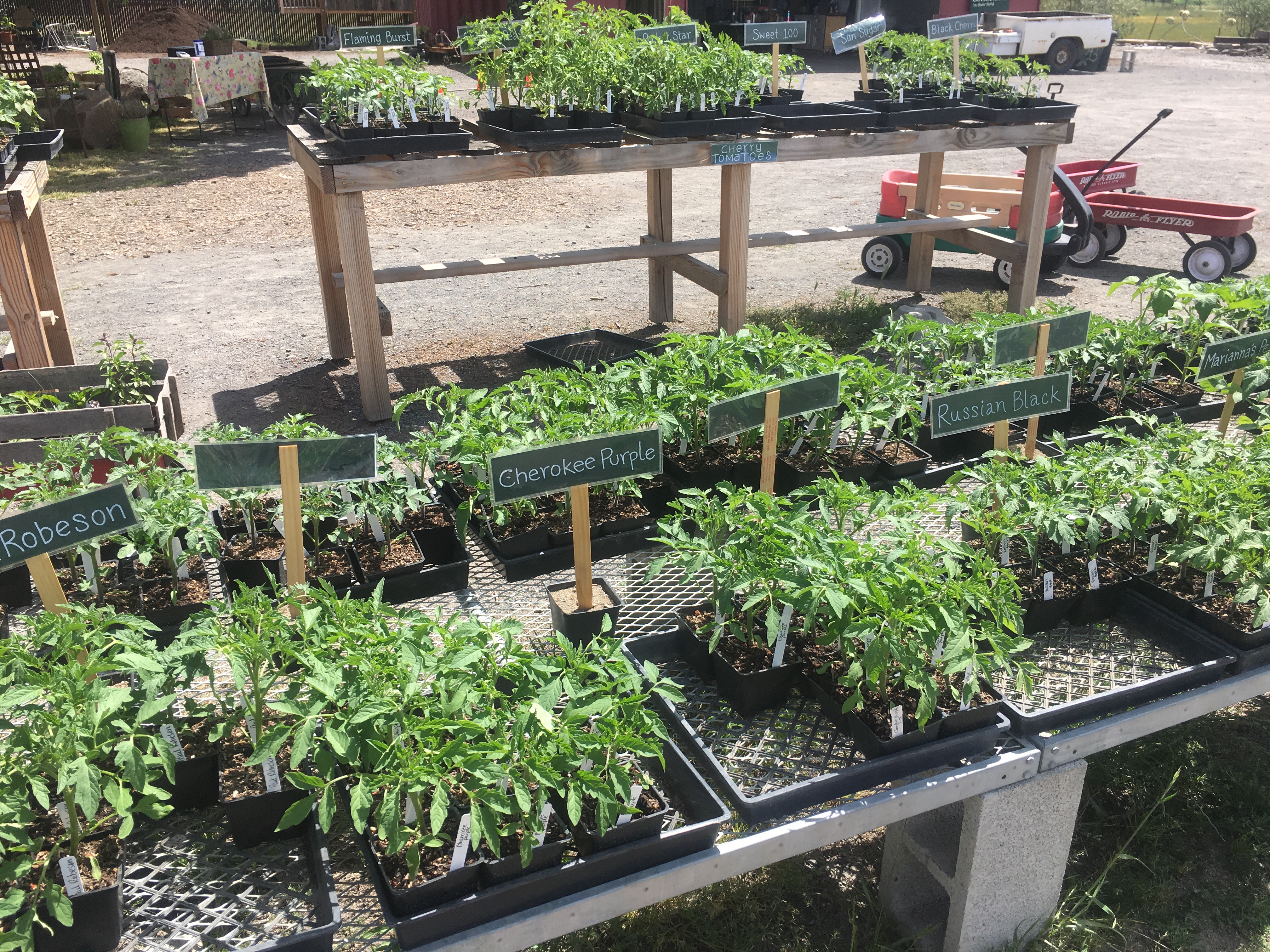 Forni Farm & Nursery