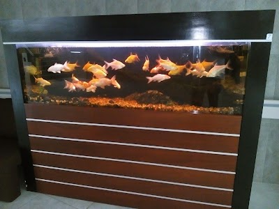 Photos of Negombo Aquarium