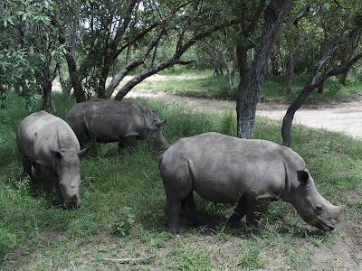 Photos of Hoedspruit Endangered Species Centre