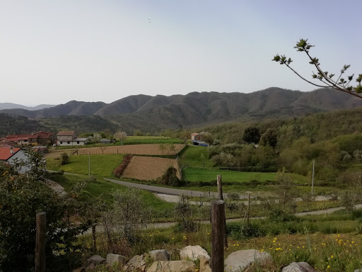 Direzione Tavella Campo Di Sopra