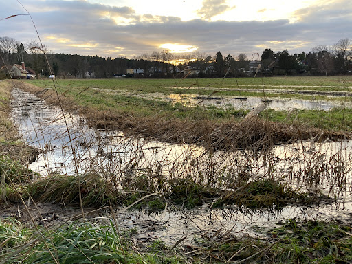 Koppel - Feld - Visual