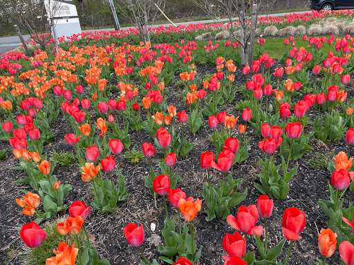 Garden OB/GYN Lake Success - Thumbnail
