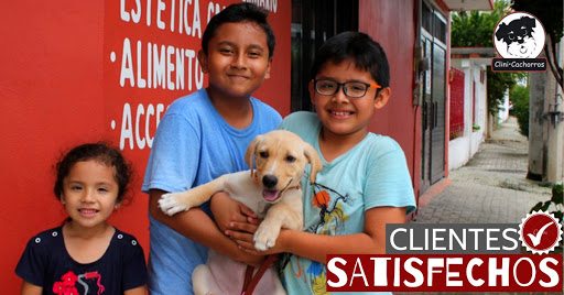 CliniCachorros Norte