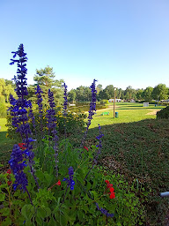 Photo n°22 de Centre de loisirs 