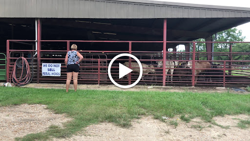 Delhi Livestock Auction Inc - Thumbnail