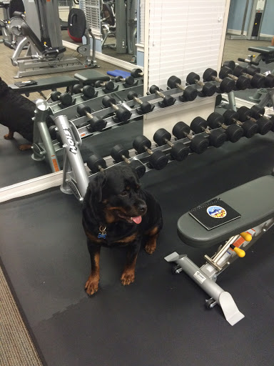 K9 Revive