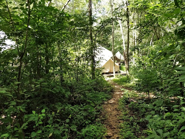 Dreamsea Surf Camp Costa Rica