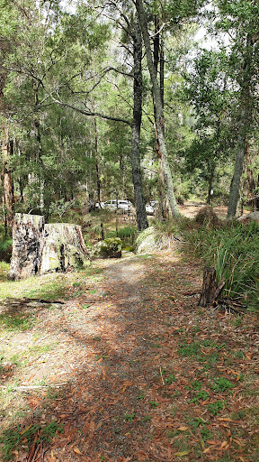 Goongerah Campground - Thumbnail