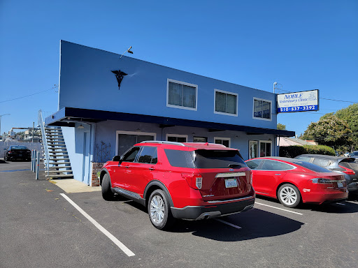 Noble Veterinary Clinic - Thumbnail