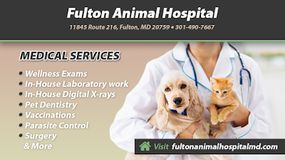 Fulton Animal Hospital