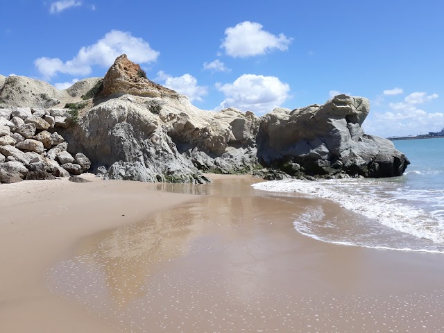 Rota