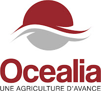 Océalia à Bernay