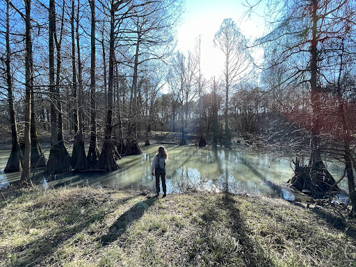 Gillam Park