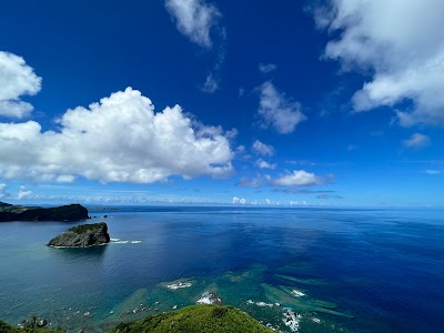 小笠原ボニネンシストラベル