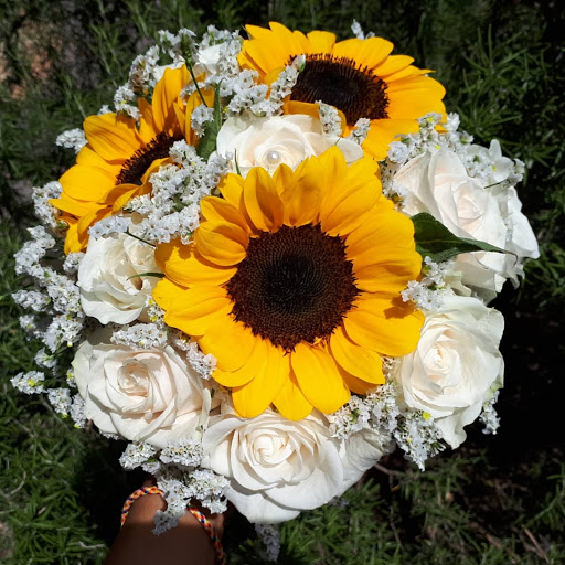 I Fiori Di Anna - Thumbnail