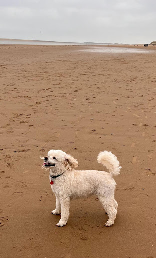 Brancaster Beach - Visual
