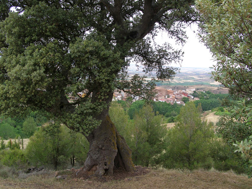 Ermita Nuestra Señora de Tajo