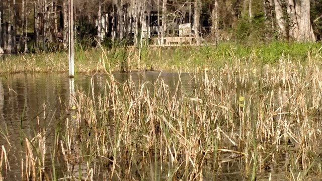 Rainbow Springs State Park