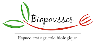 Photo n°1 de Biopousses à Tourneville-sur-Mer (Association bénévole)