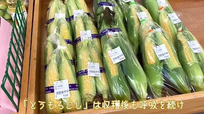 農畜産物直売所 あぐりんず つくい