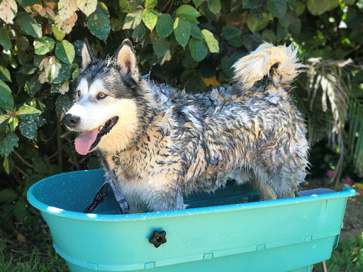 Booster Bath - Visual