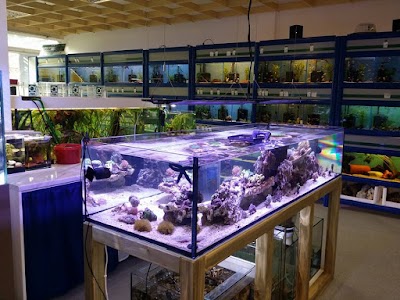 Photos of Aquarius K&auml;nel